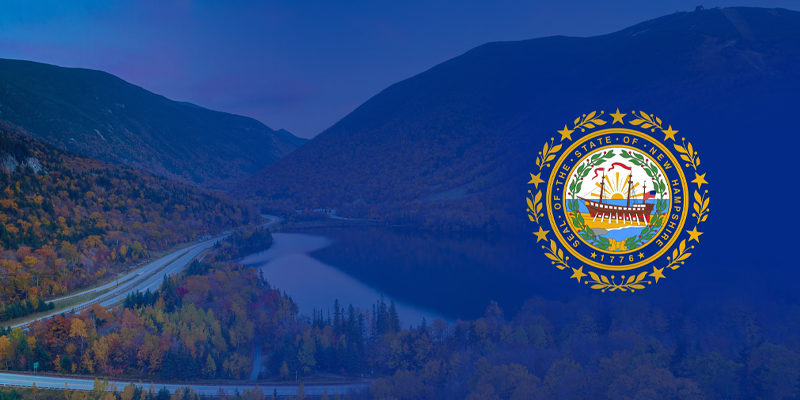 Top MLM Companies in New Hampshire