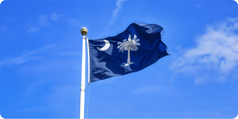 MLM Companies in South Carolina 