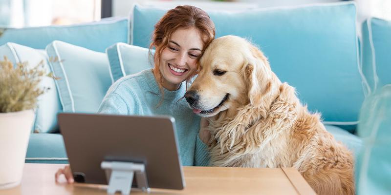 MLM pet care companies in USA 