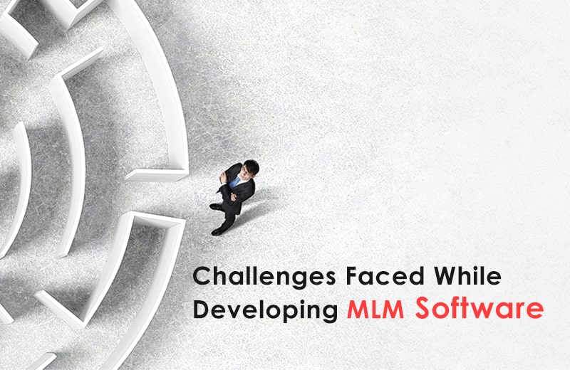 Challenges faced during MLM Software development