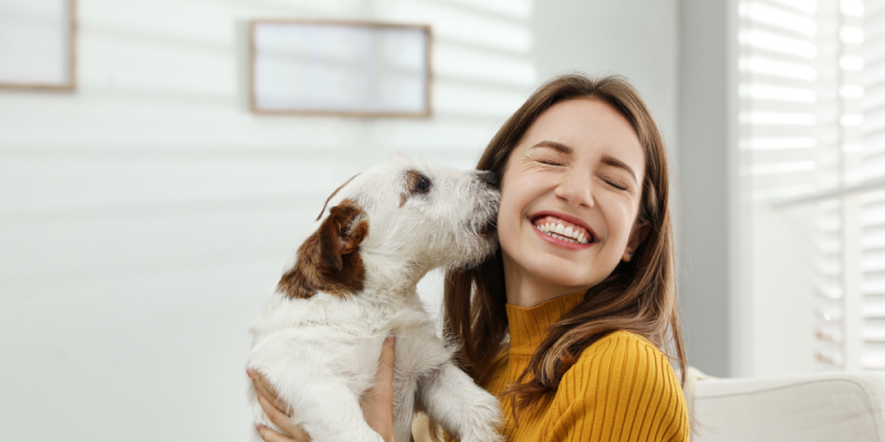 Ranking empresas multinivel mascotas