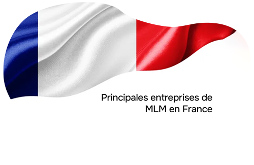 Les principales entreprises MLM en France : Un voyage éclairant dans le marché français de la vente directe