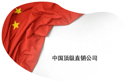 2026年中国 直销 公司 排名