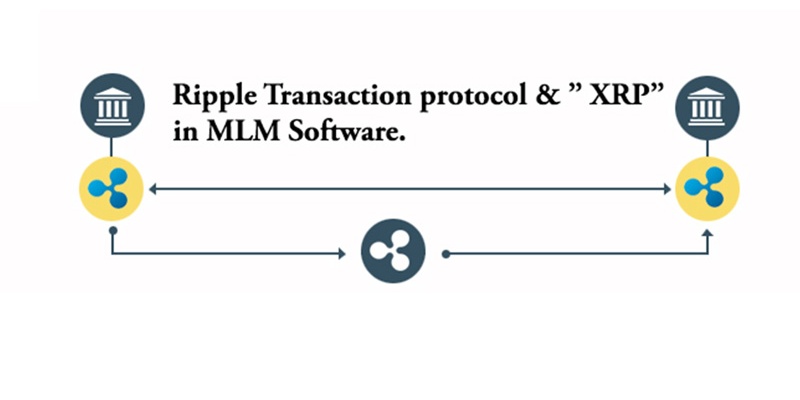 Ripple transaction protocol and XRP in MLM software