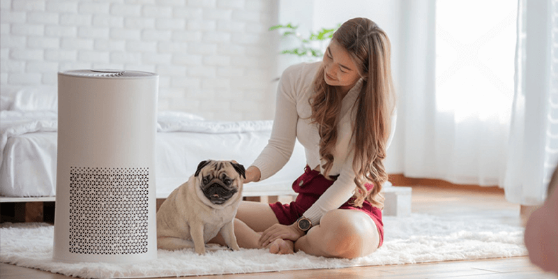 Top MLM air filter companies in the USA direct selling industry 2026