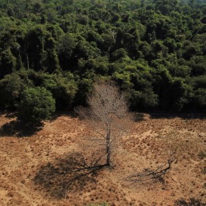 Natura chairman urges Brazil to be more ambitious on climate