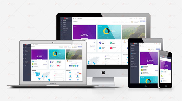 Epixel MLM Software Version-14 - 2019