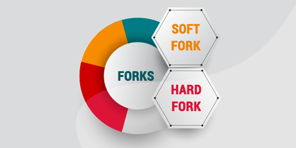 Cryptocurrency Fork types