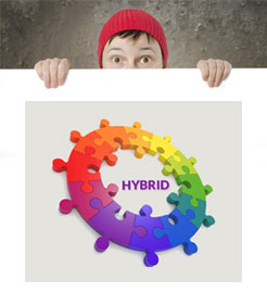 Hybrid MLM Plans Hybrid MLM Plans