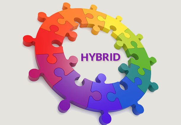 About Hybrid Plan MLM Software