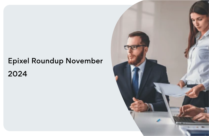 MLM roundup november 2024