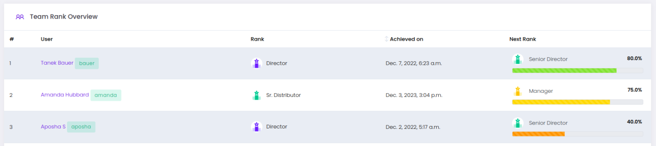 MLM team rank overview