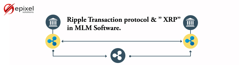 Ripple Transaction protocol and XRP in Network Marketing System