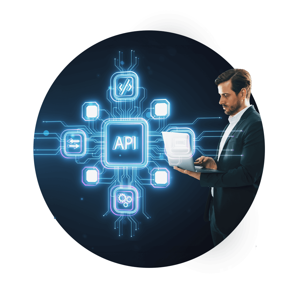 Robust API's