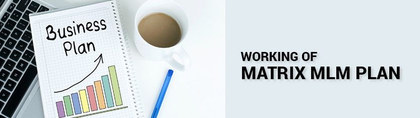 matrix mlm plan